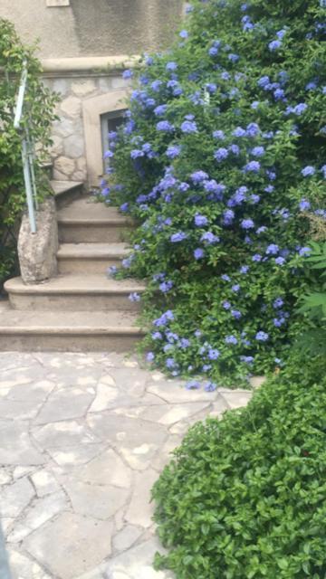 Chez Catherine Arles Dış mekan fotoğraf