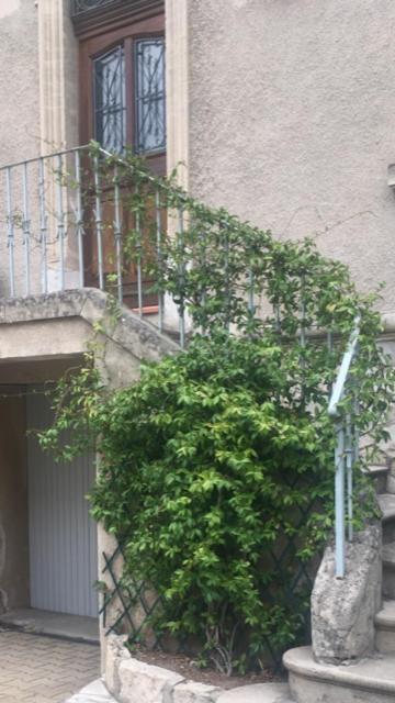 Chez Catherine Arles Dış mekan fotoğraf